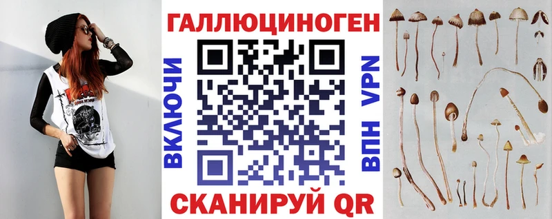 Псилоцибиновые грибы Cubensis  как найти наркотики  Абдулино 